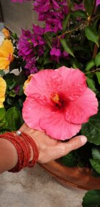 Il Bracciale dellla sorellanza - Le Sorelle (81)