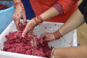 Il Bracciale della Sorellanza - Festival 2015 (11)