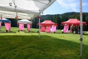 Il Bracciale della Sorellanza - Festival 2015 (16)