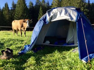 Il Bracciale della Sorellanza - Festival 2015 (9)