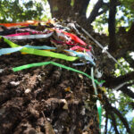 Il Bracciale della Sorellanza - Festival 2017 (21)