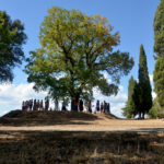 Il Bracciale della Sorellanza - Festival 2017 (6)