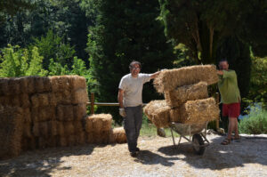 Il Bracciale della sorellanza - Festival 2016 (13)