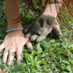 Il Bracciale della sorellanza - Festival 2018 (10)