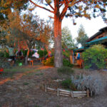 Il Bracciale della sorellanza - Festival 2020 (12)