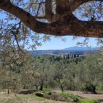 Il Bracciale della sorellanza - Festival 2020 (2)