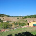 Il Bracciale della sorellanza - Festival 2021 (7)