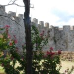 Il Bracciale della sorellanza - Festival 2024 (24)