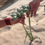 Il Bracciale della sorellanza - Festival 2023 (9)